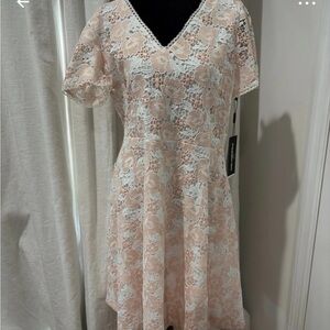 Karl Lagerfeld Blush and Ivory Lace Midi Dress